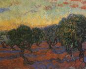 文森特威廉梵高 - 橄榄树林，橙色天空